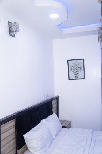 photo-2025-06-10-04-20-14_1